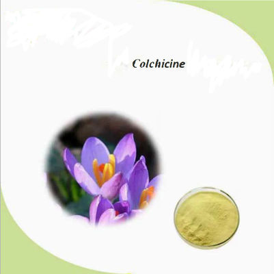Pharmaceutical CAS No 64-86-8 Colchicine Extract USP/Ep 97~103% Colcemid Colchicine
