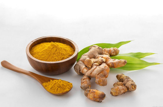 Organic Certified Natural Curcumin Powder CAS NO 458-37-7 Plant Turmeric Root Extract
