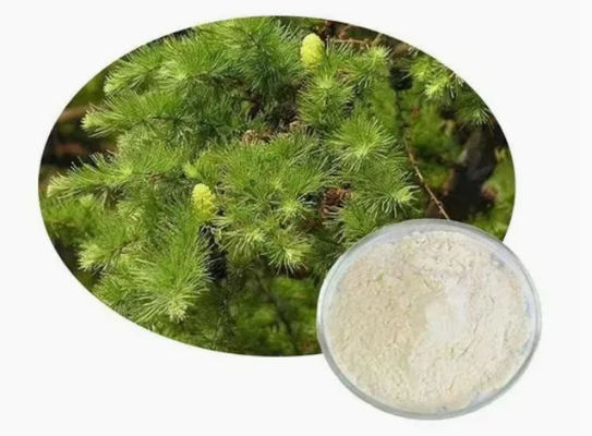 Natural Supplement Taxifolin Dihydroquercetin 80% 95% 98% CAS NO 480-18-2 Extract Powder