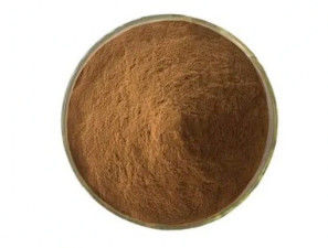Biological 10:1 Fructus Phyllanthi Extracts CAS NO 90028-28-7 Fructus Phyllanthi Extract