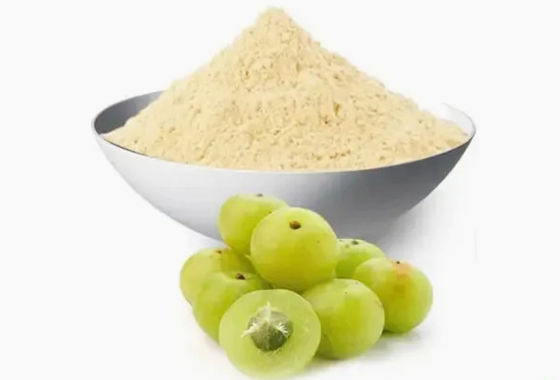 Biological 10:1 Fructus Phyllanthi Extracts CAS NO 90028-28-7 Fructus Phyllanthi Extract