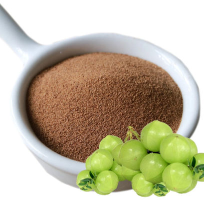 Biological 10:1 Fructus Phyllanthi Extracts CAS NO 90028-28-7 Fructus Phyllanthi Extract