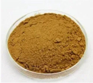 100% Natural Fumaria Extract CAS NO 10097-84-4 10% Tannins Fumaria Officinalis Extract