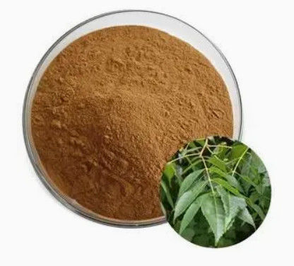 CAS NO 68915-32-2  Picrasma quassioides extract Chinese medicine and modern pharmacology