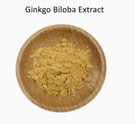 Pharmaceutical Healthcare Ginkgo Biloba Extract CAS NO 84696-15-1 Pure Natural powder