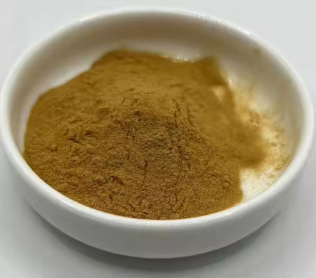 Pharmaceutical Healthcare Ginkgo Biloba Extract CAS NO 84696-15-1 Pure Natural powder