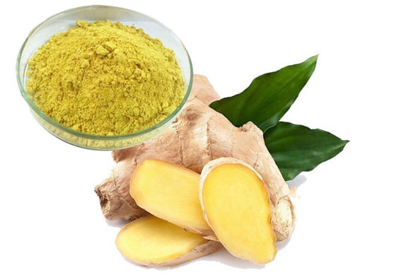 Pharmaceutical Healthcare Ginkgo Biloba Extract CAS NO 84696-15-1 Pure Natural powder