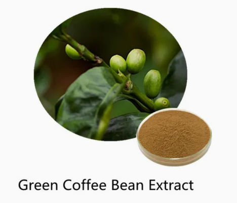 Pharmaceutical Healthcare Green Coffee Bean Extract CAS NO 327-97-9 Pure Natural Powder