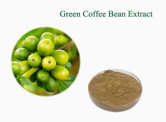 Pharmaceutical Healthcare Green Coffee Bean Extract CAS NO 327-97-9 Pure Natural Powder