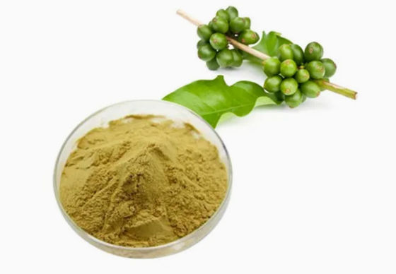 Pharmaceutical Healthcare Green Coffee Bean Extract CAS NO 327-97-9 Pure Natural Powder