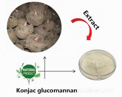 Natural Konjac Glucomannan Powder CAS NO 37220-17-0 Purity Konjac Root Extract Powder
