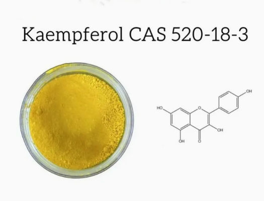 Health Care Supplement Kaempferol Powder Galanga Extract CAS 520-18-3 Pure Natura