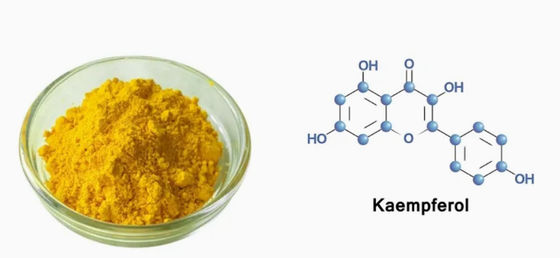 Health Care Supplement Kaempferol Powder Galanga Extract CAS 520-18-3 Pure Natura