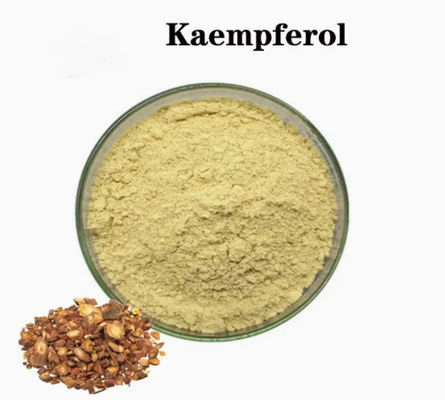 Health Care Supplement Kaempferol Powder Galanga Extract CAS 520-18-3 Pure Natura