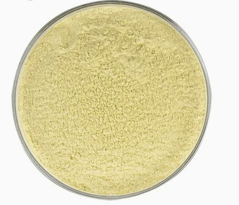 Health Care Supplement Kaempferol Powder Galanga Extract CAS 520-18-3 Pure Natura