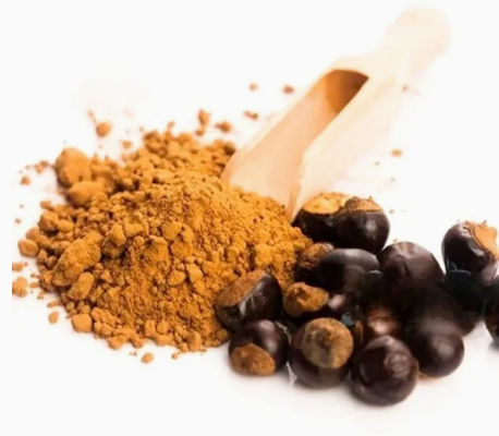 Health Supplement Paullinia Cupana  Extract Cas No 84929-28-2 Guarana Seed Extracts