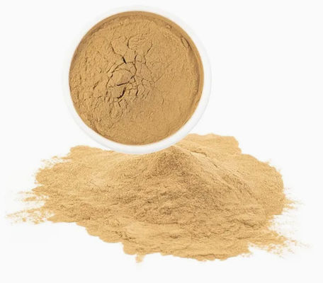 Health Supplement Paullinia Cupana  Extract Cas No 84929-28-2 Guarana Seed Extract