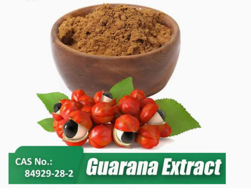 Health Supplement Paullinia Cupana  Extract Cas No 84929-28-2 Guarana Seed Extracts