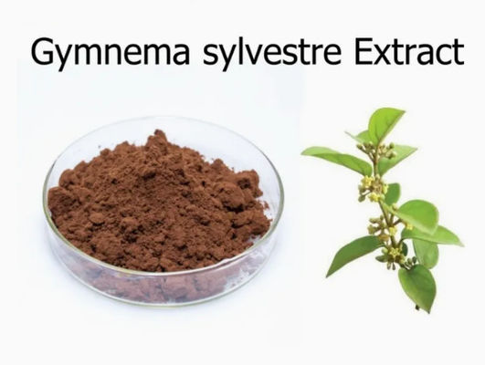 Plant Extract Gymnema Sylvestre Extract CAS NO 90045-47-9 Root Or Herbal Extract Powder
