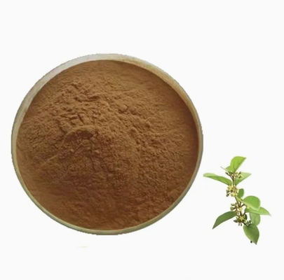 Plant Extract Gymnema Sylvestre Extract CAS NO 90045-47-9 Root Or Herbal Extract Powder