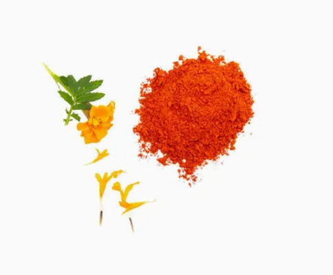 Natural Lutein 5% 20% Powder CAS No 127-40-2 Animal Natural Feed Pigment Powder