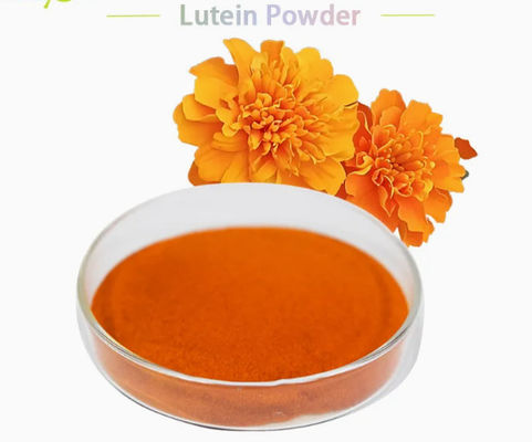 Natural Lutein 5% 20% Powder CAS No 127-40-2 Animal Natural Feed Pigment Powder