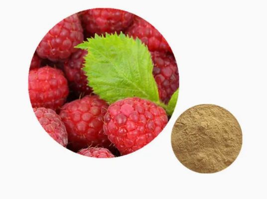 Natural Raspberry Extract 10/1 CAS NO 38963-94-9 Pure Extract Powder Raspberry Powder