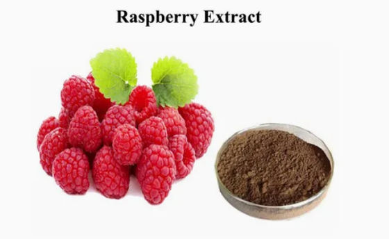 Natural Raspberry Extract 10/1 CAS NO 38963-94-9 Pure Extract Powder Raspberry Powder