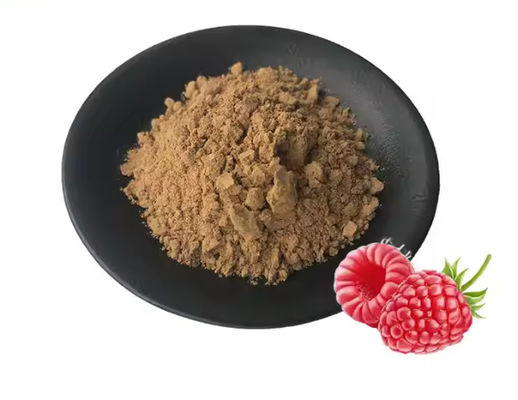 Natural Raspberry Extract 10/1 CAS NO 38963-94-9 Pure Extract Powder Raspberry Powder