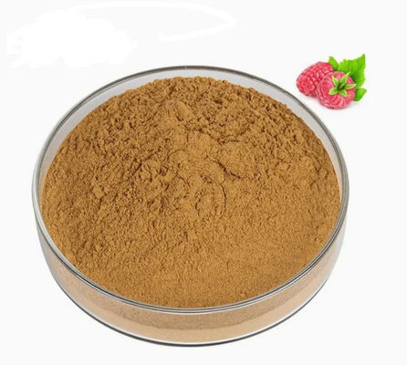Natural Raspberry Extract 10/1 CAS NO 38963-94-9 Pure Extract Powder Raspberry Powder