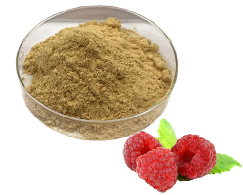 Natural Raspberry Extract 10/1 CAS NO 38963-94-9 Pure Extract Powder Raspberry Powder