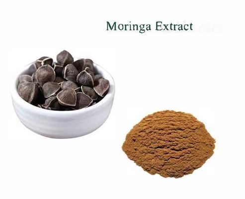 Natural Plant Moringa Extract 10/1 CAS NO 93165-54-9 Moringa Oleifera Powder