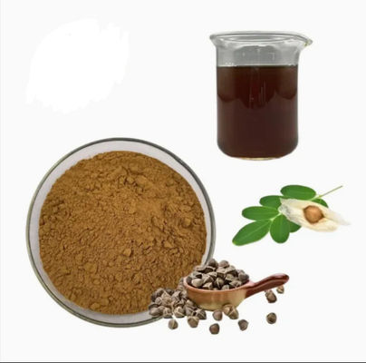 Natural Plant Moringa Extract 10/1 CAS NO 93165-54-9 Moringa Oleifera Powder