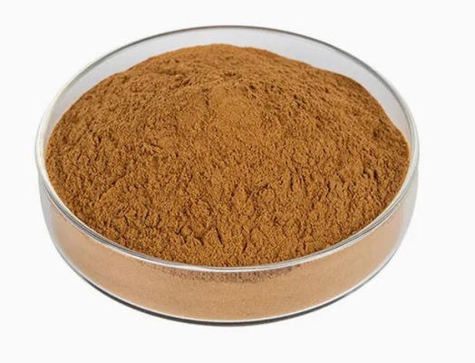 Natural Plant Moringa Extract 10/1 CAS NO 93165-54-9 Moringa Oleifera Powder