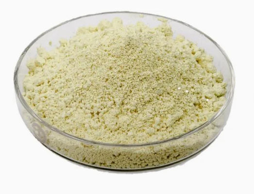 Natural Plant Extract Luteolin 98% CAS NO 491-70-3 HPLC Anti Virus Powder Luteolin