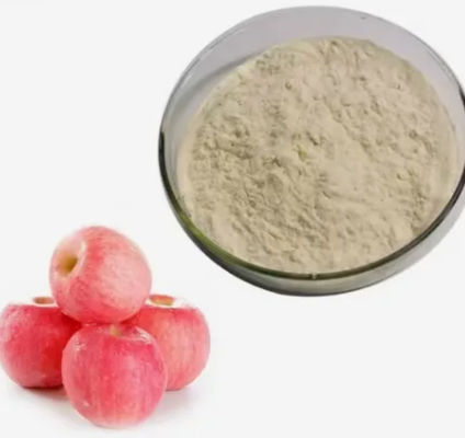 Natural Plant Colloid Pectin CAS NO 9000-69-5 Food And Pharma Grade Apple Pectin