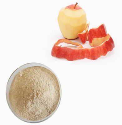 Natural Plant Colloid Pectin CAS NO 9000-69-5 Food And Pharma Grade Apple Pectin