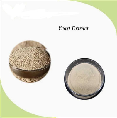 ISO Certified 100% Natural Yeast Extract CAS NO 8013-01-2 Food Flavours Enhancers