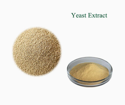 ISO Certified 100% Natural Yeast Extract CAS NO 8013-01-2 Food Flavours Enhancers
