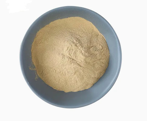 ISO Certified 100% Natural Yeast Extract CAS NO 8013-01-2 Food Flavours Enhancers