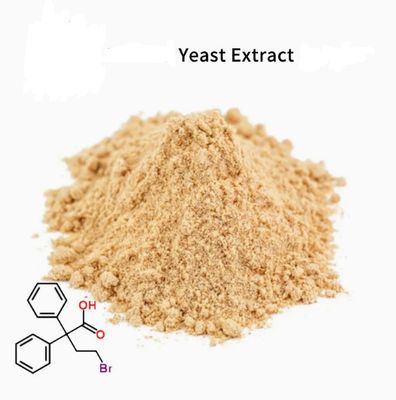 ISO Certified 100% Natural Yeast Extract CAS NO 8013-01-2 Food Flavours Enhancers