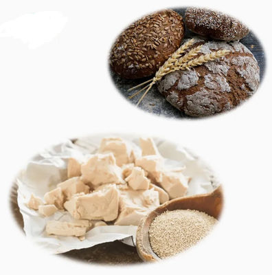 ISO Certified 100% Natural Yeast Extract CAS NO 8013-01-2 Food Flavours Enhancers