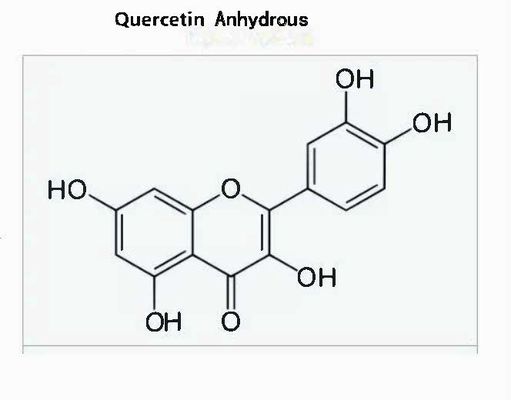 Plant Extract Pharmaceutical Grade Quercetin Anhydrous CAS NO 117-39-5 Yellow Powder