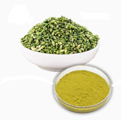 Plant Extract Pharmaceutical Grade Quercetin Anhydrous CAS NO 117-39-5 Yellow Powder